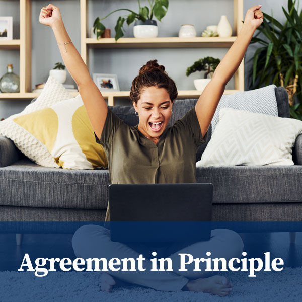 Agreement in Principal